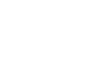 VDSI